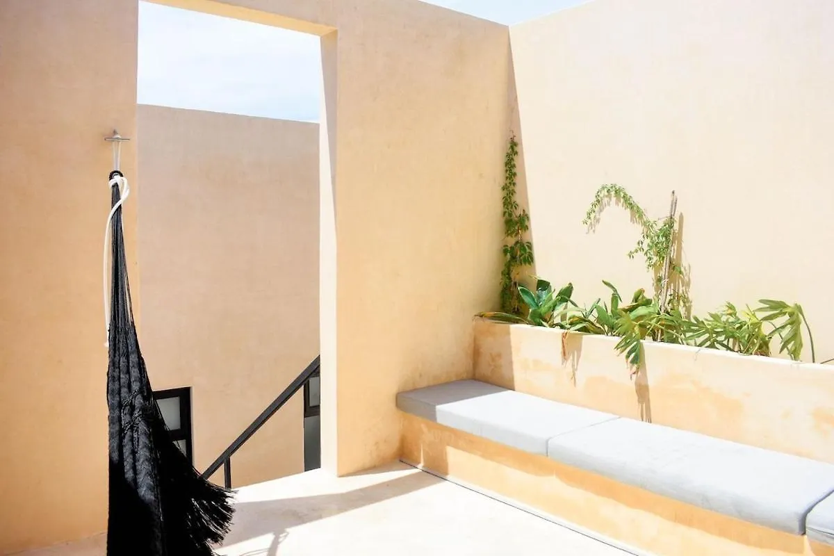טולום Studio In La Veleta With Private Rooftop