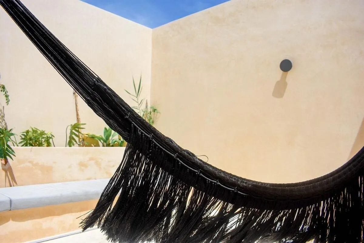 טולום Studio In La Veleta With Private Rooftop מקסיקו