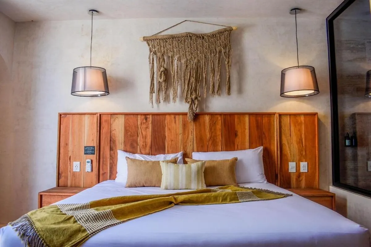 טולום Studio In La Veleta With Private Rooftop 0*,  מקסיקו